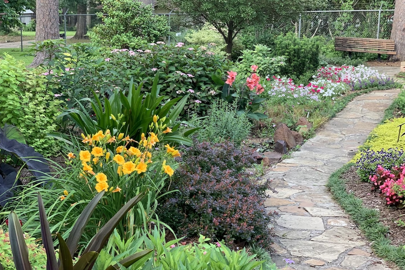 Mistake 4: Planting Too Deep or Too Shallow