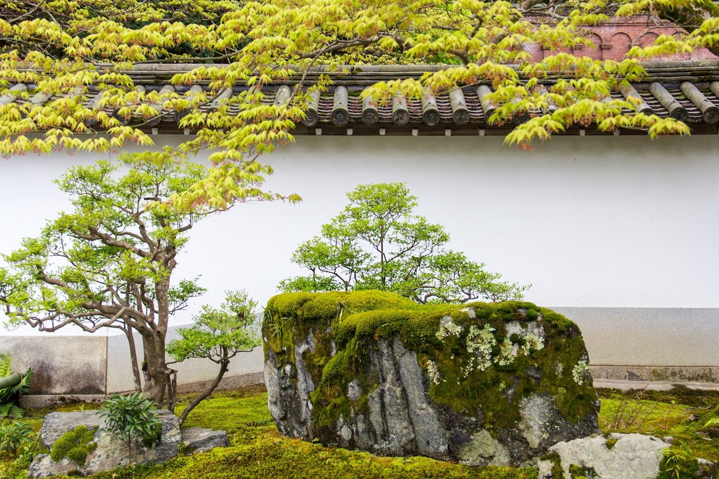 10 Ideas for Amazing Themed Gardens