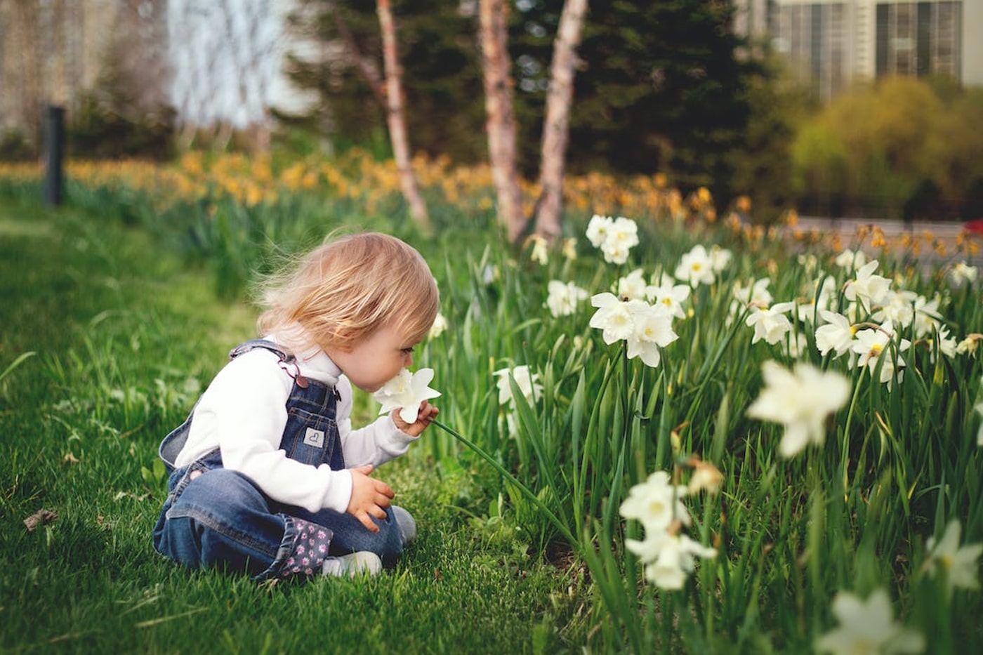 toddler smelling the flower