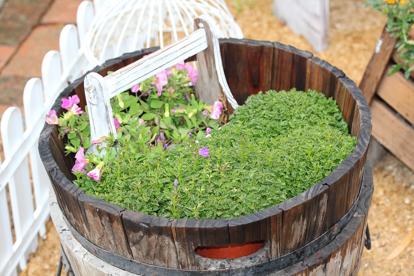 5 Creative Ideas for Container Gardens