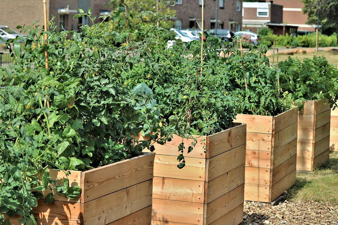 raised bed planters