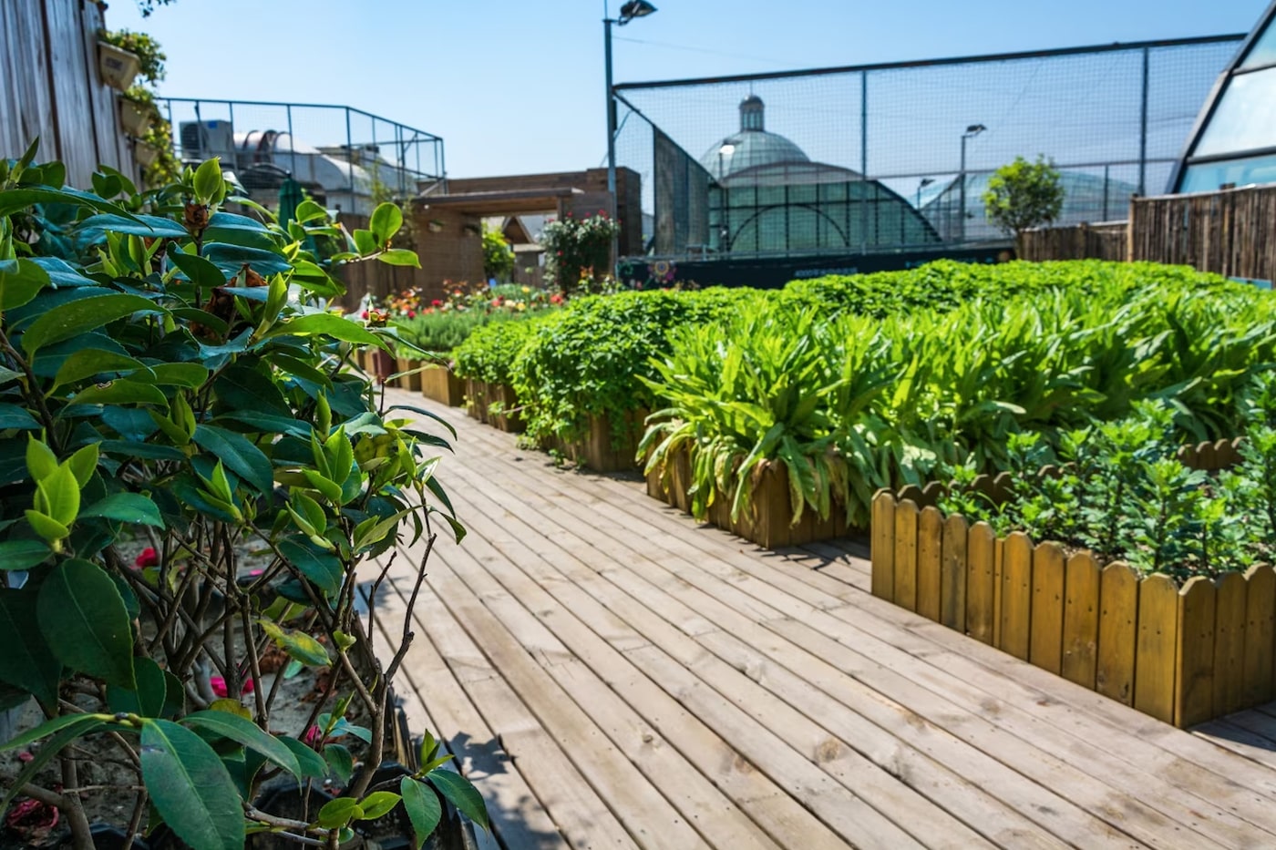 Urban garden
