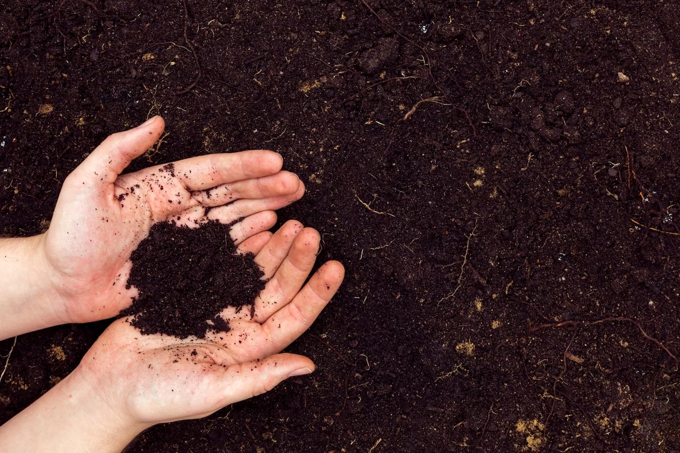 hands holding soil