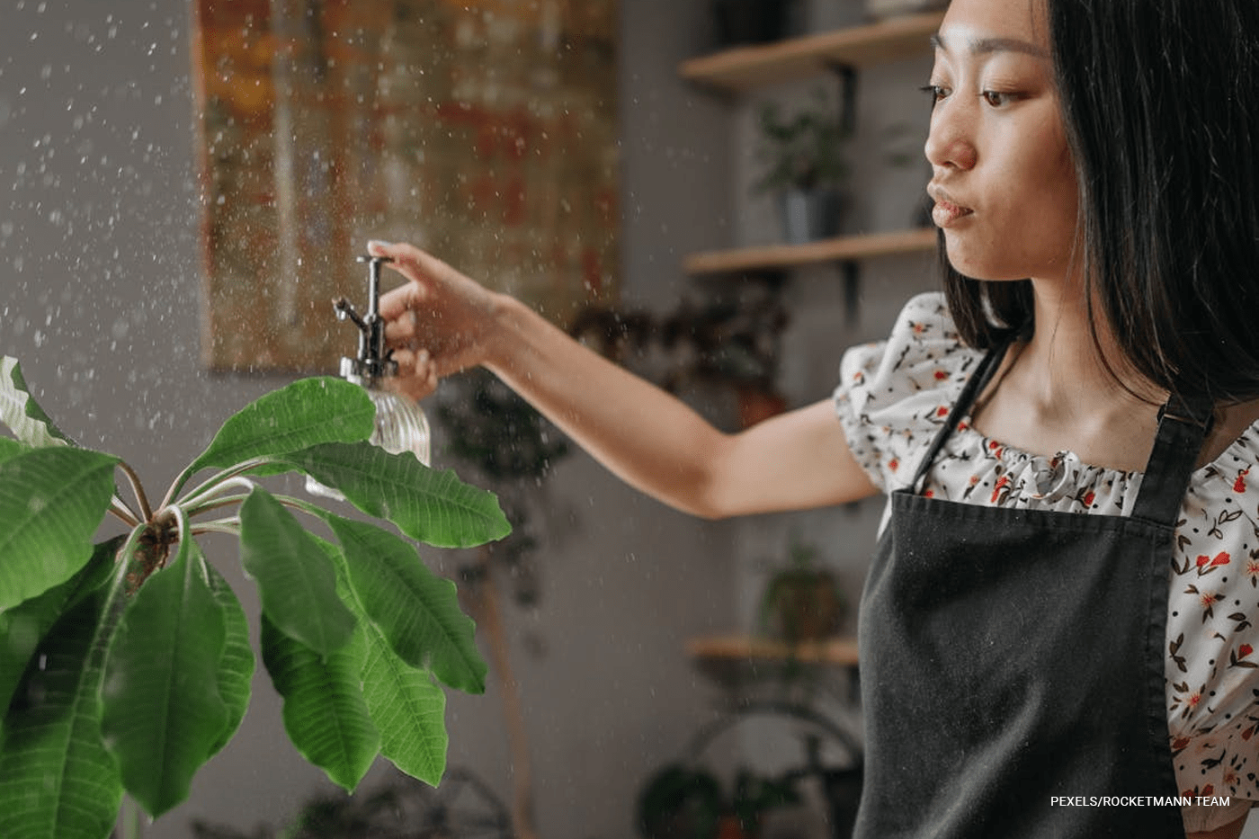 woman spraying water on plants