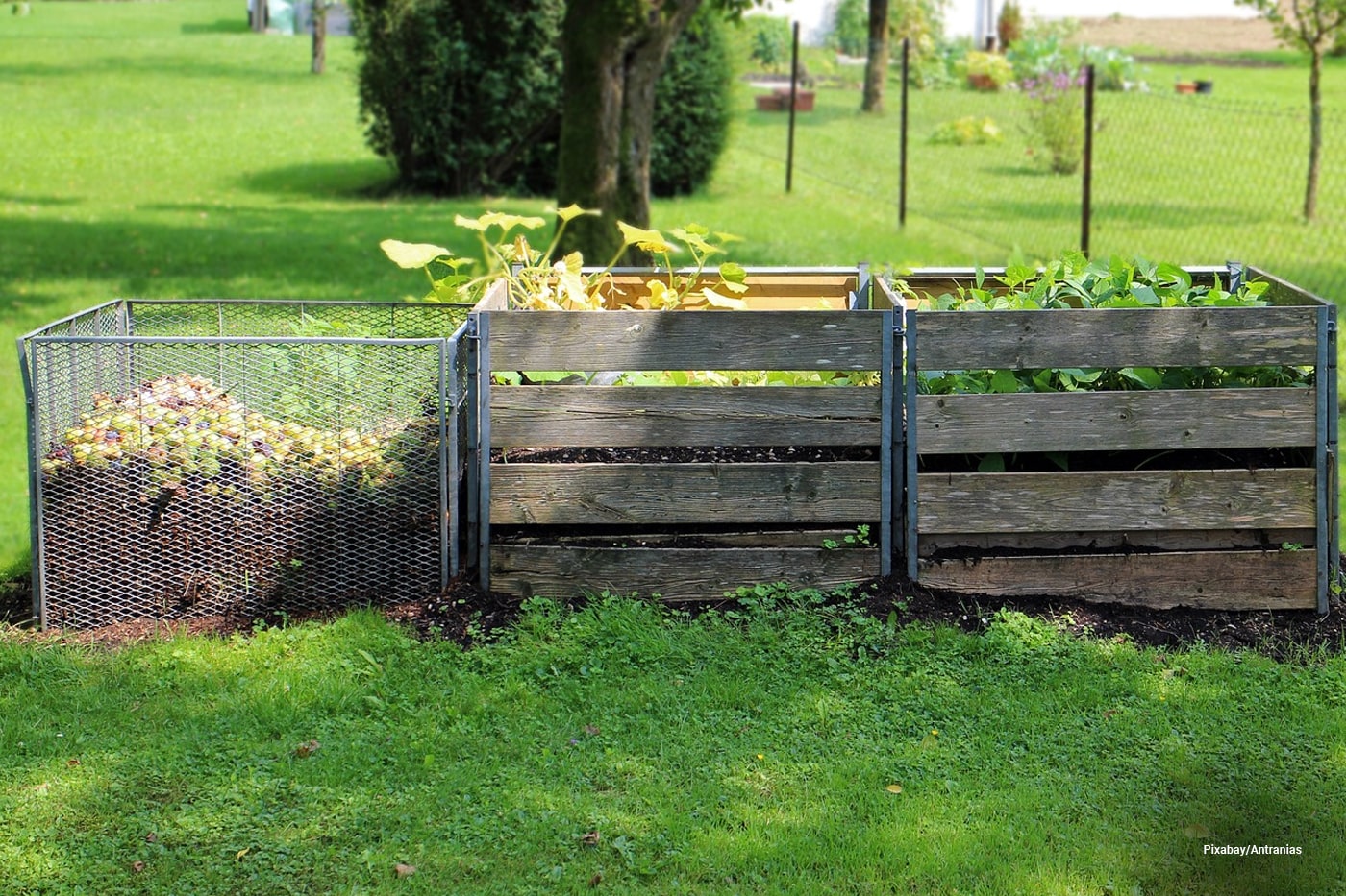 compost raised beds