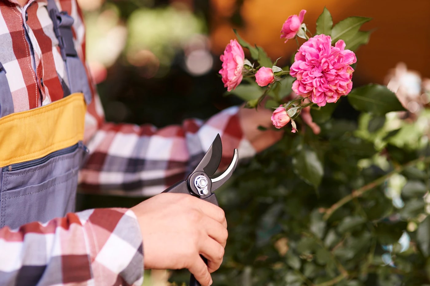 man cutting plant stalk