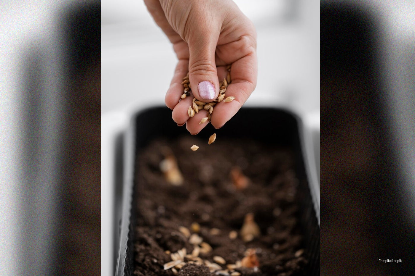 Five Garden Tasks You’ll Love for February