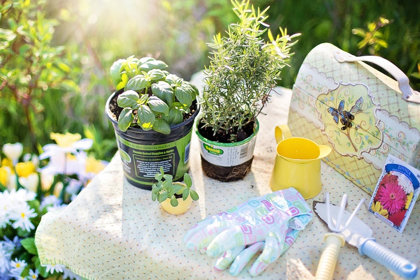 Best Valentine's Day Gift Ideas for Gardeners