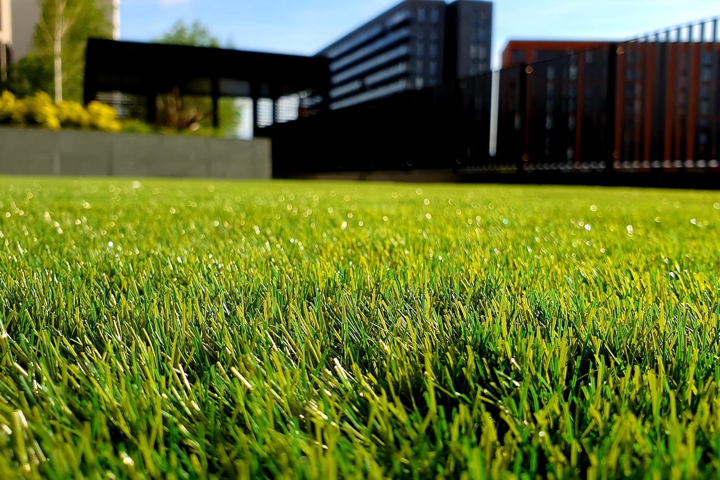Growing Grass: Planting Tips and Lawn Care During Different Seasons