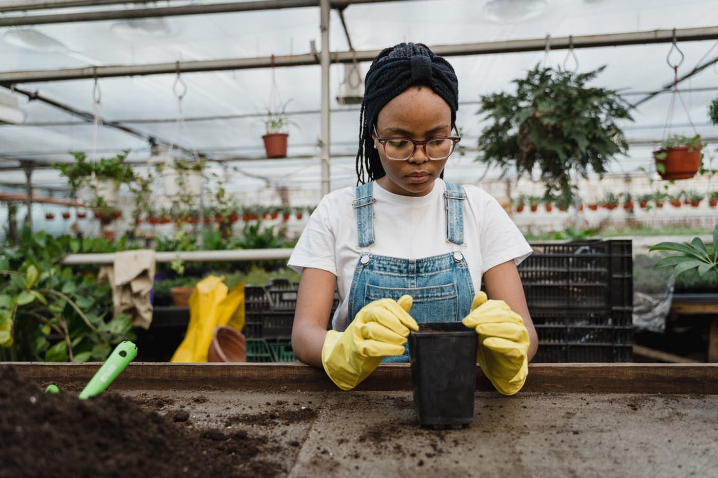 Woman putting soil to the pot