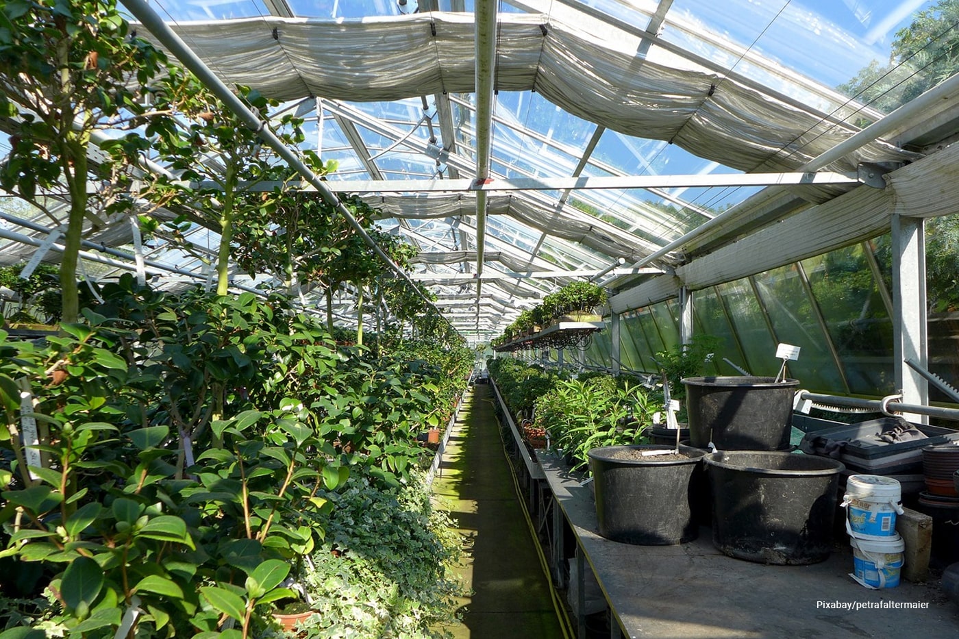 Eco-Friendly Greenhouse: Sustainable Materials and Practices