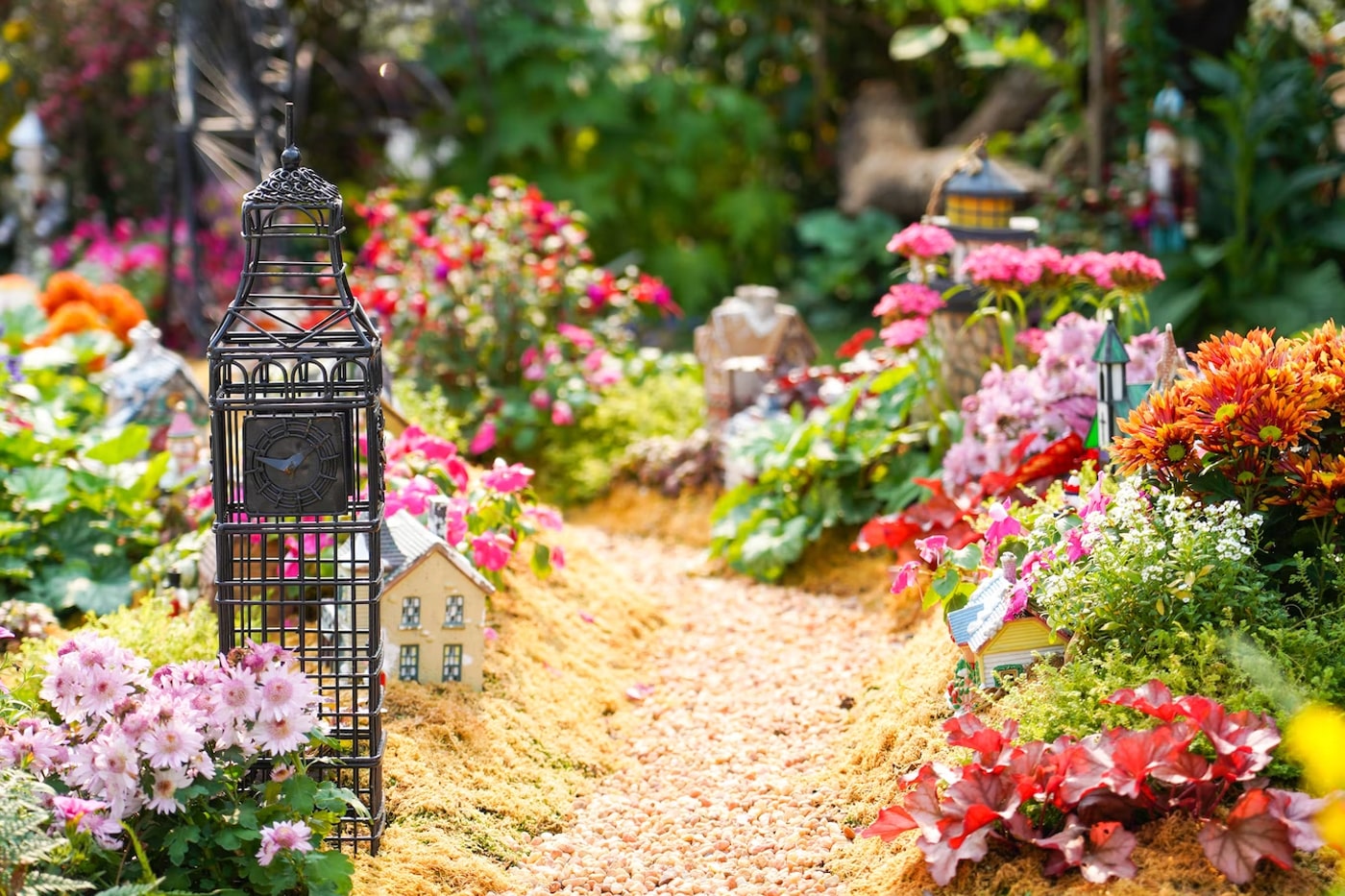 January Gardening Tips