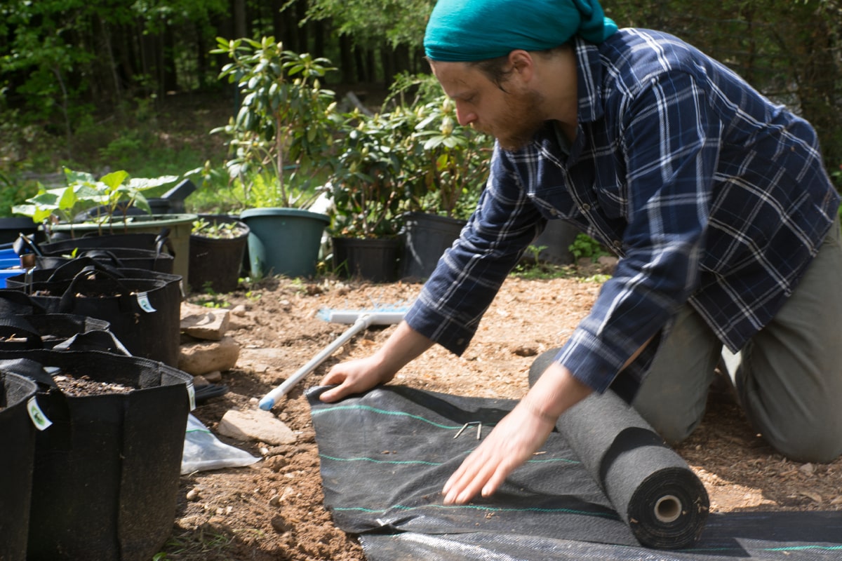 Man putting landscape fabric on his garden