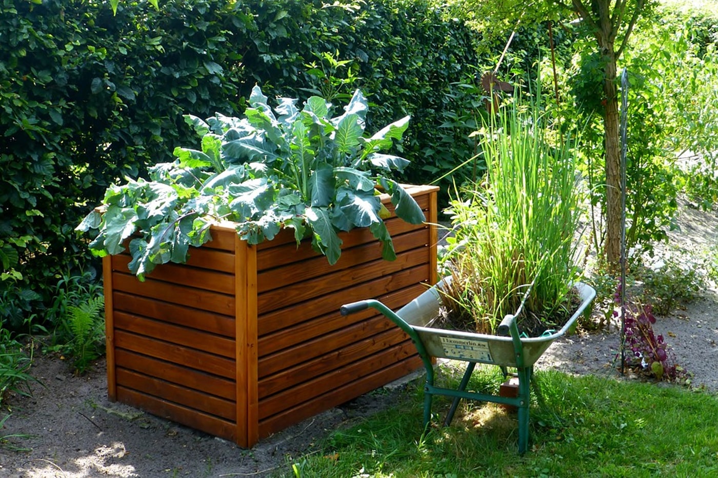 raised bed garden
