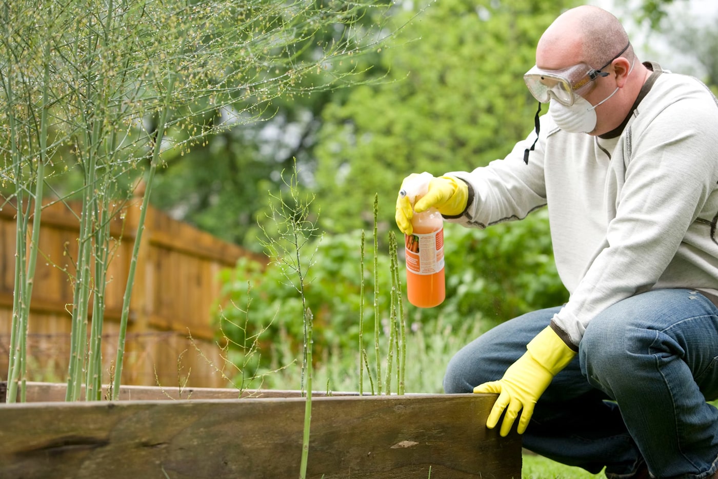 Seasonal Allergies and Gardening