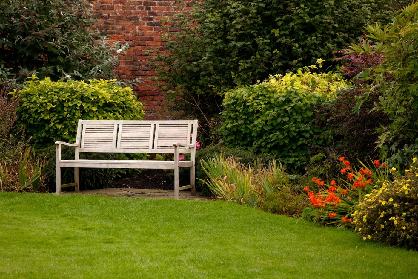 backyard lawn garden with chair