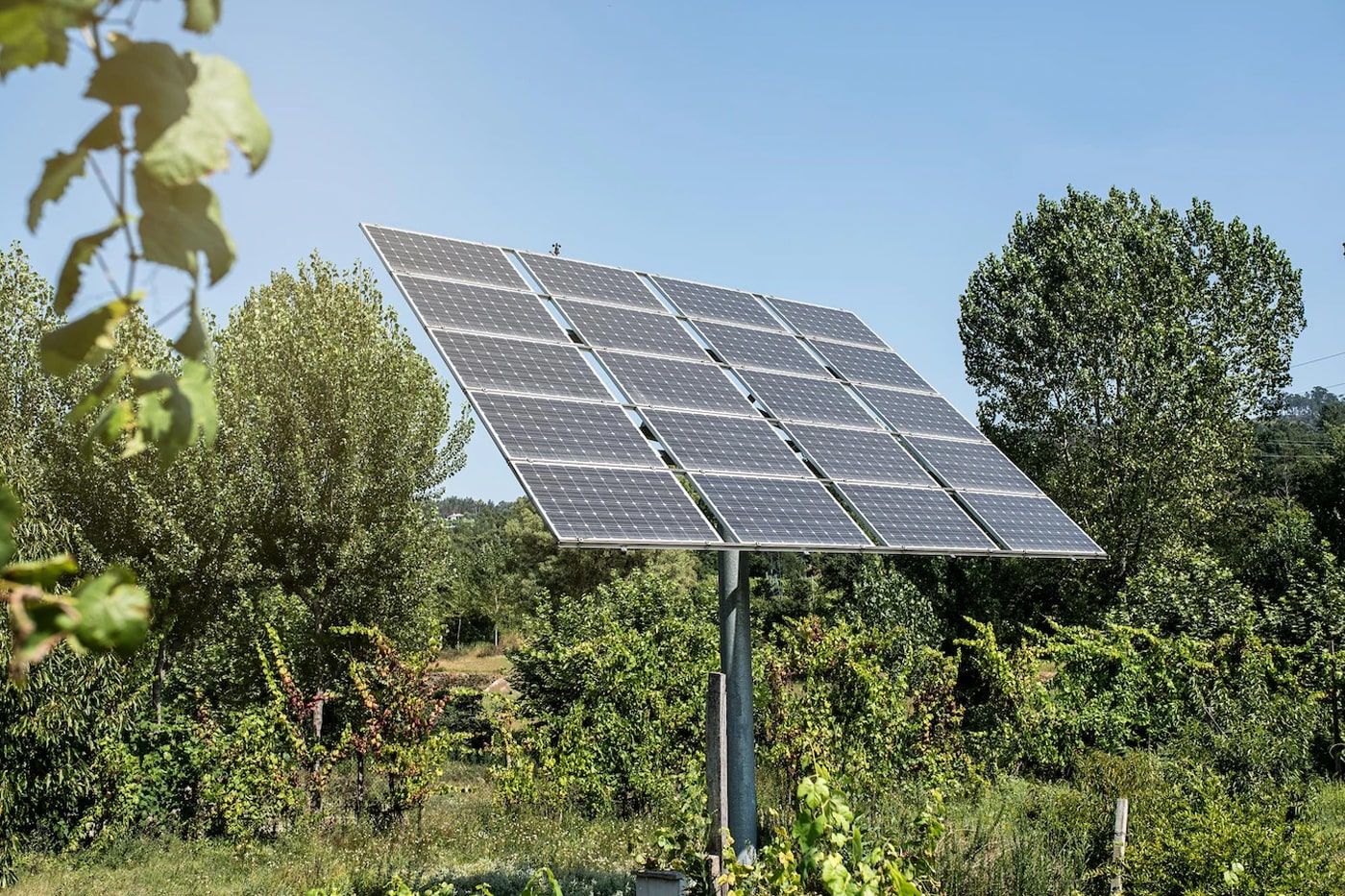 solar panel in the garden