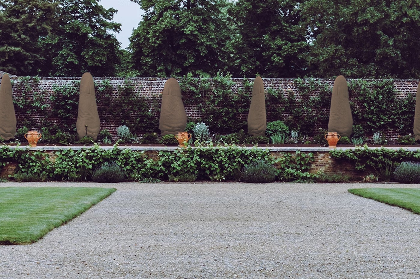 backyard garden