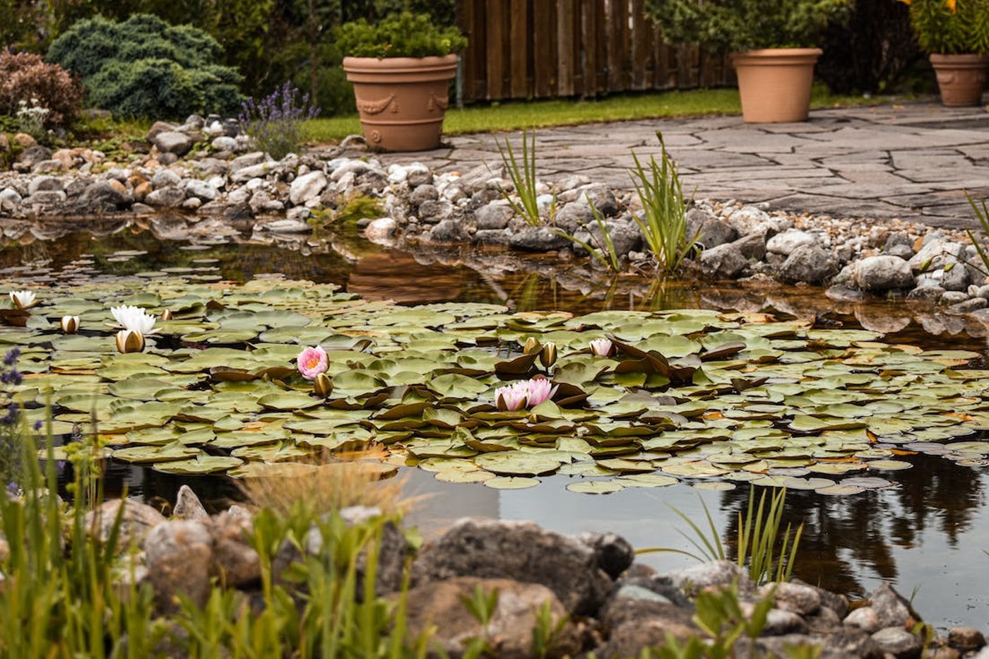 Benefits of Adding a Garden Pond and Outdoor Water Features