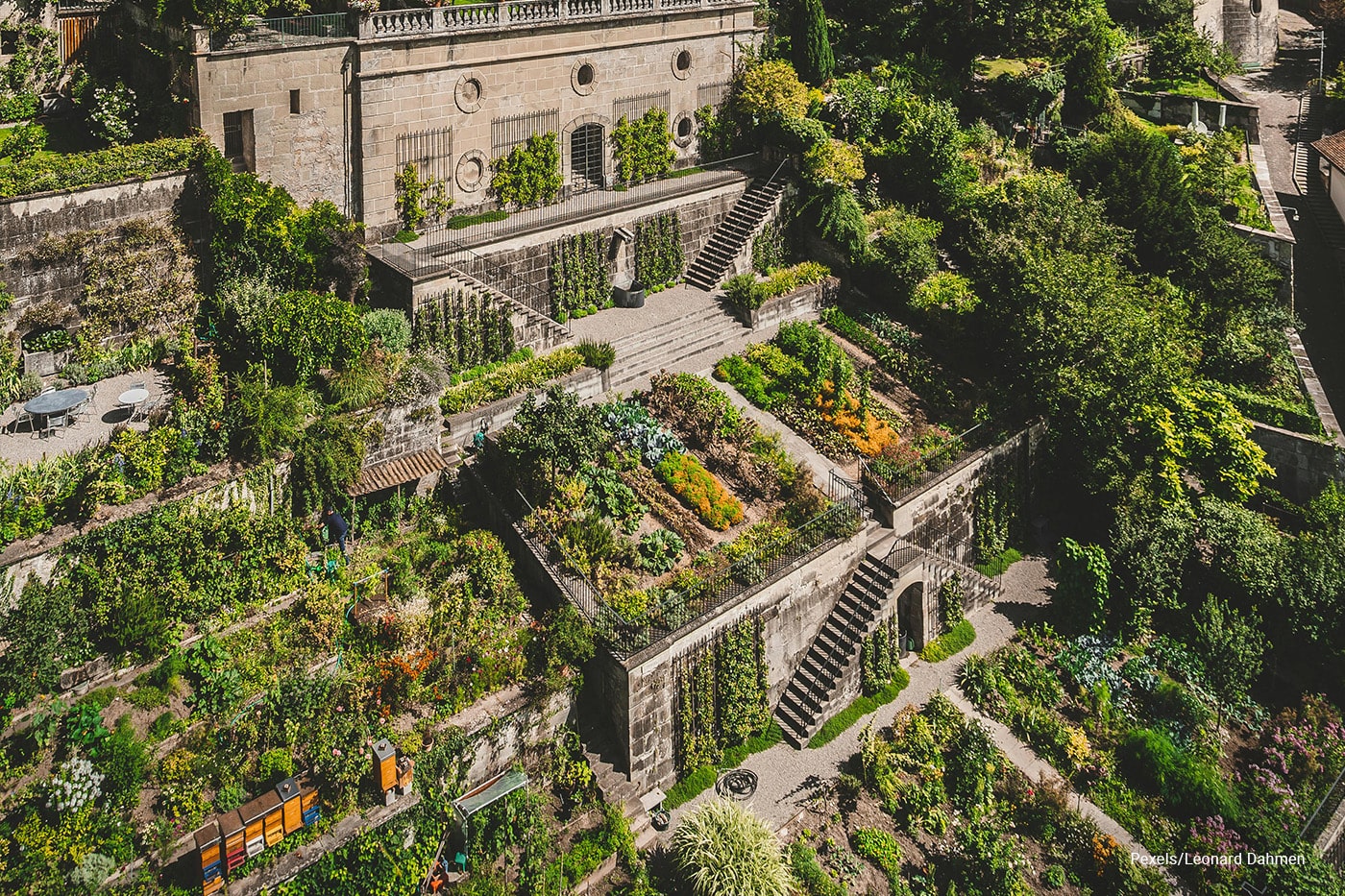 How To Transform Small Urban Spaces into Lush Garden Retreats ECOgardener