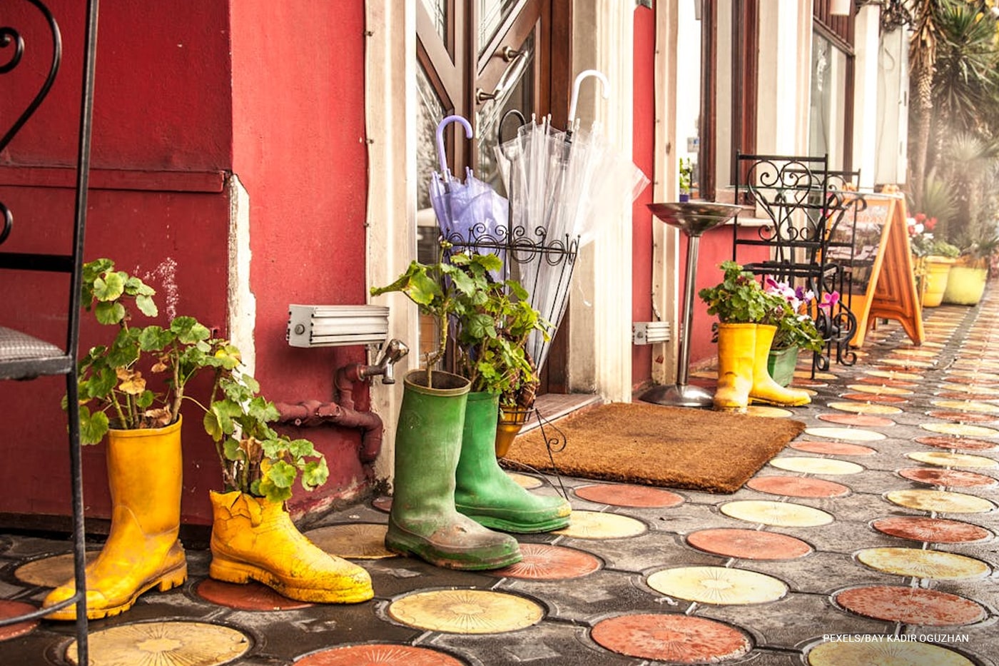Old boots as planter