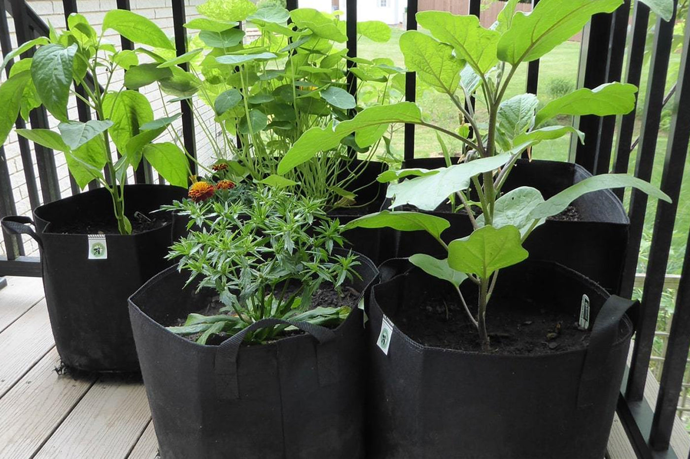 Ecogardener growbags