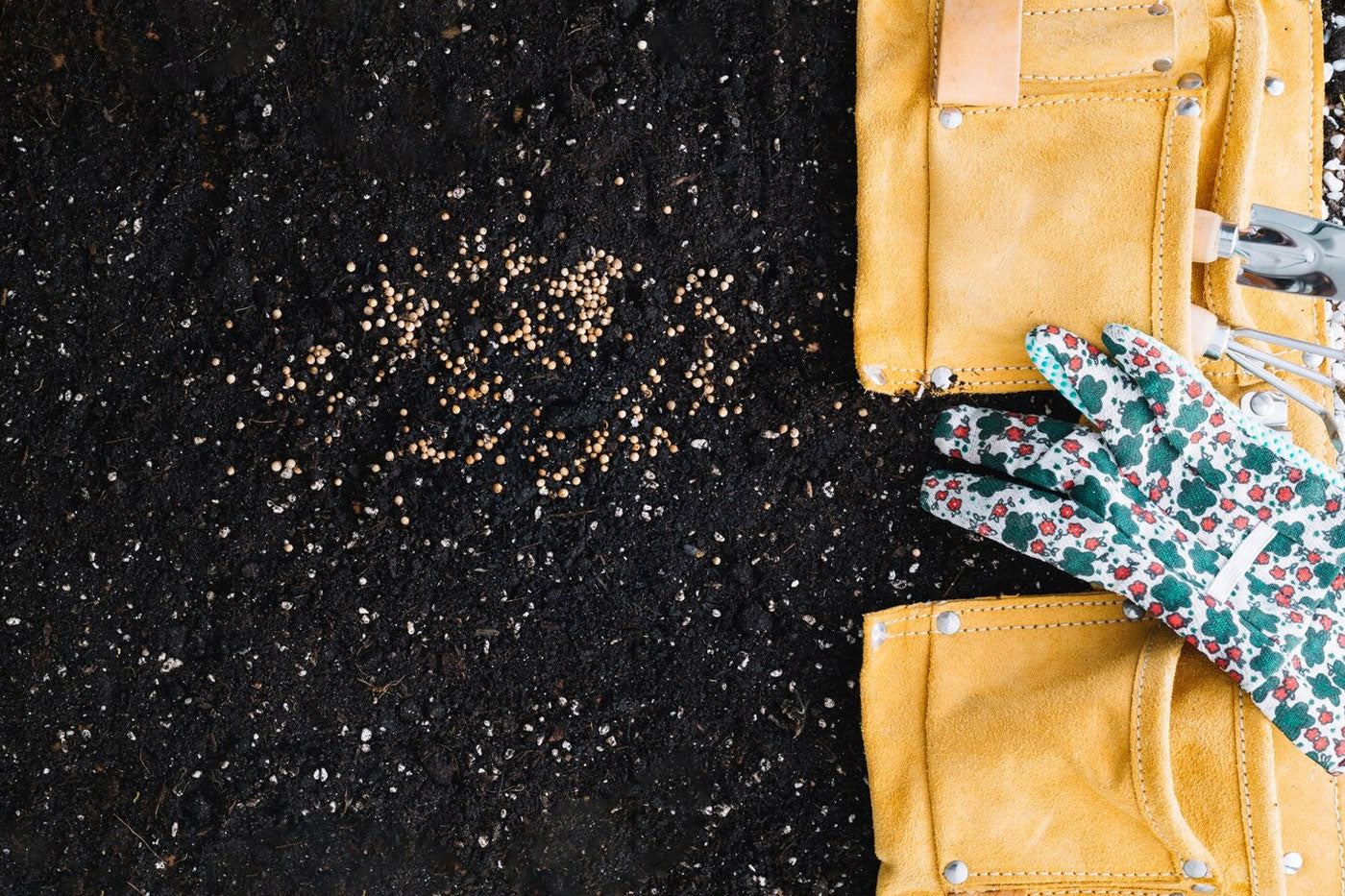 sowing seed besides on a garden gloves