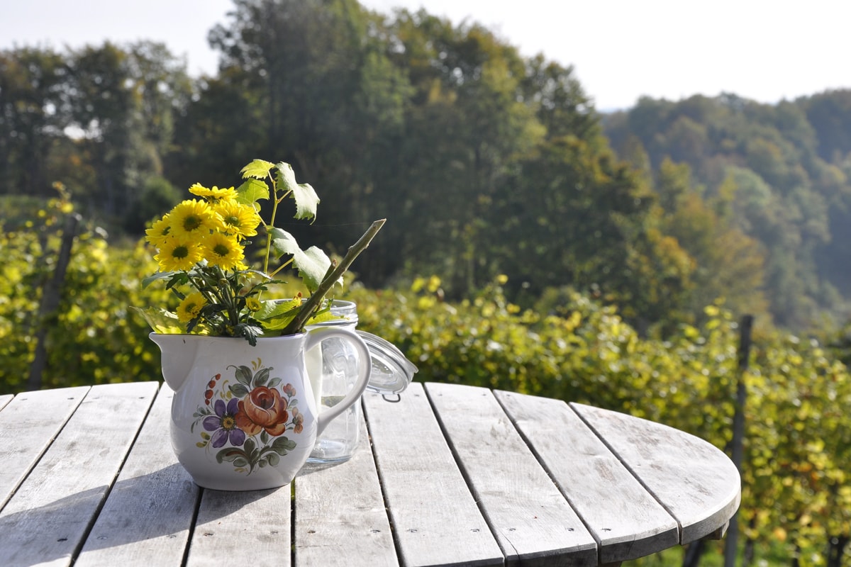 A table with flowers in a garden