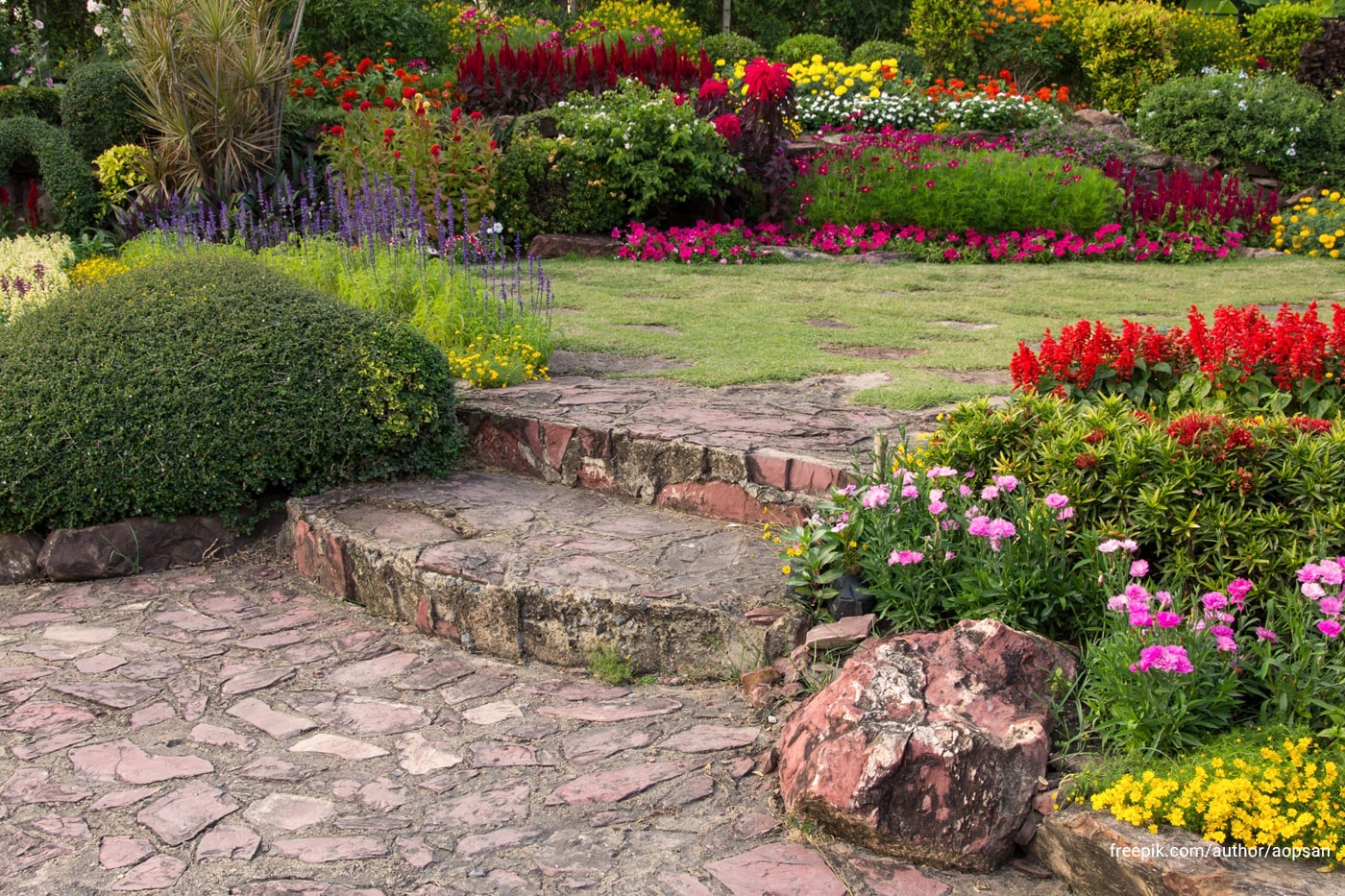 A colorful garden full of flowers