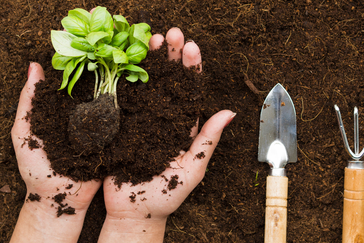 Gardening with proper tools