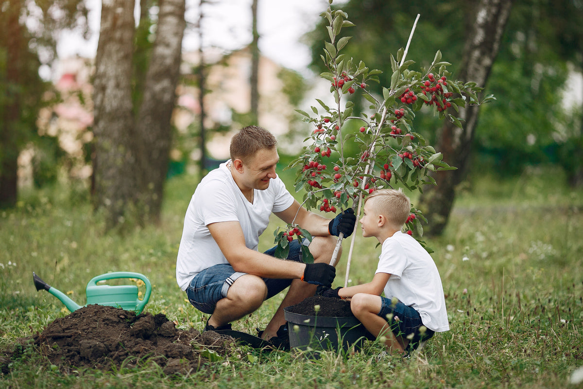 Dad and son gardening