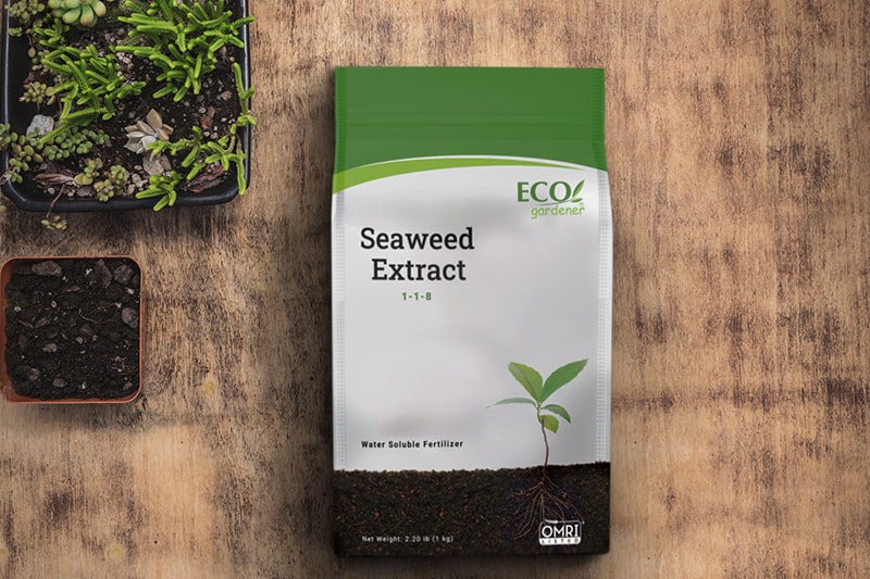 Plants that Benefit from Seaweed Extract Soil Conditioner