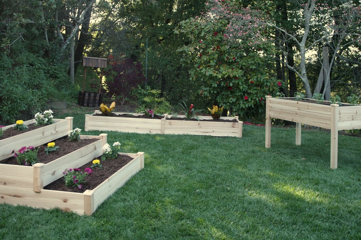 The Complete Guide to Raised Beds • Gardenary