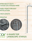 Detailed information for Ecogardener landscape staple chisel point