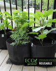 Ecogardener grow bags in the balcony