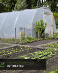 A greenhouse using ecogardener greenhouse poly film