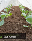 Plants enclosed in Ecogardener greenhouse poly film