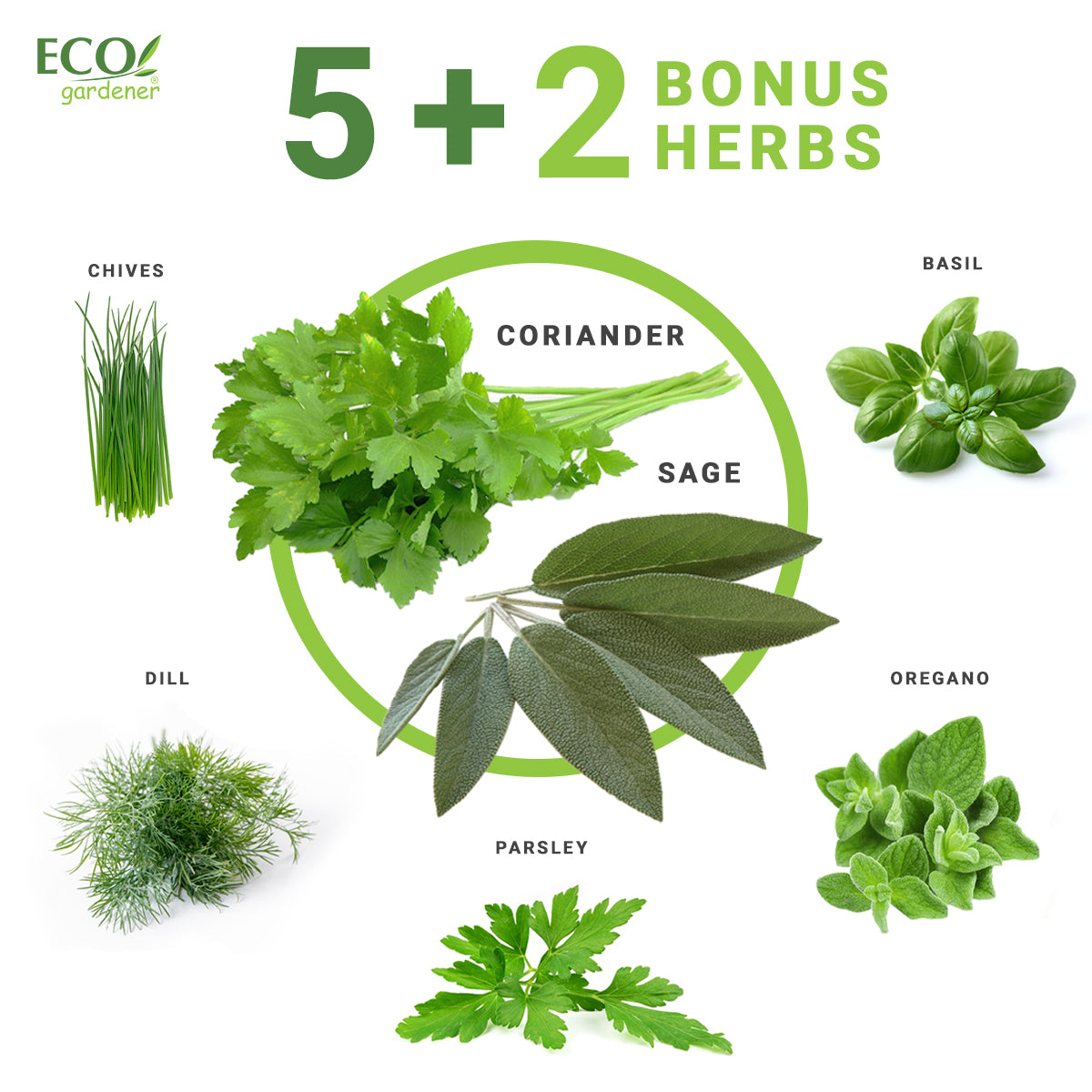 Ecogardener herbs inside the herb kit