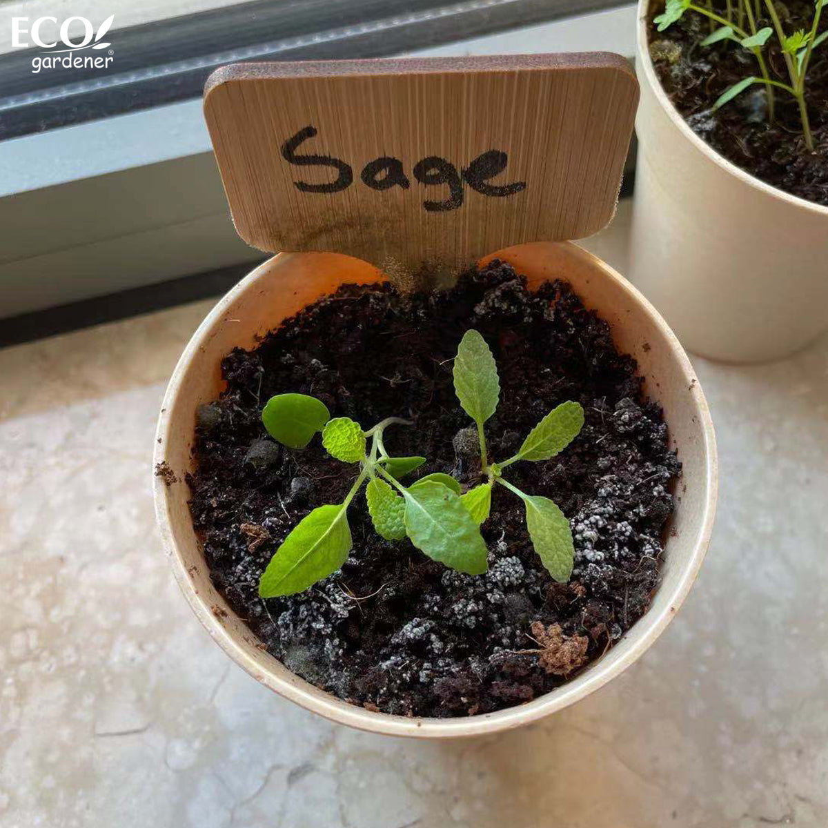 ECOgardener Herb Garden Kit