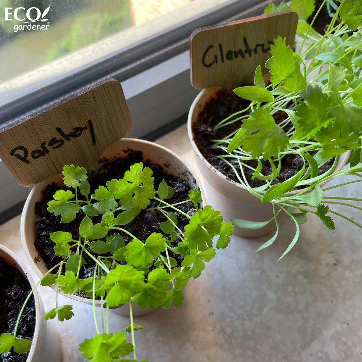 ECOgardener Herb Garden Kit