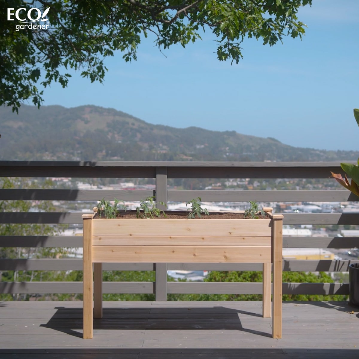 Ecogardener Elevated Raised Bed in the patio