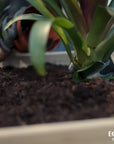 A person planting plants in the Ecogardener Raised Bed