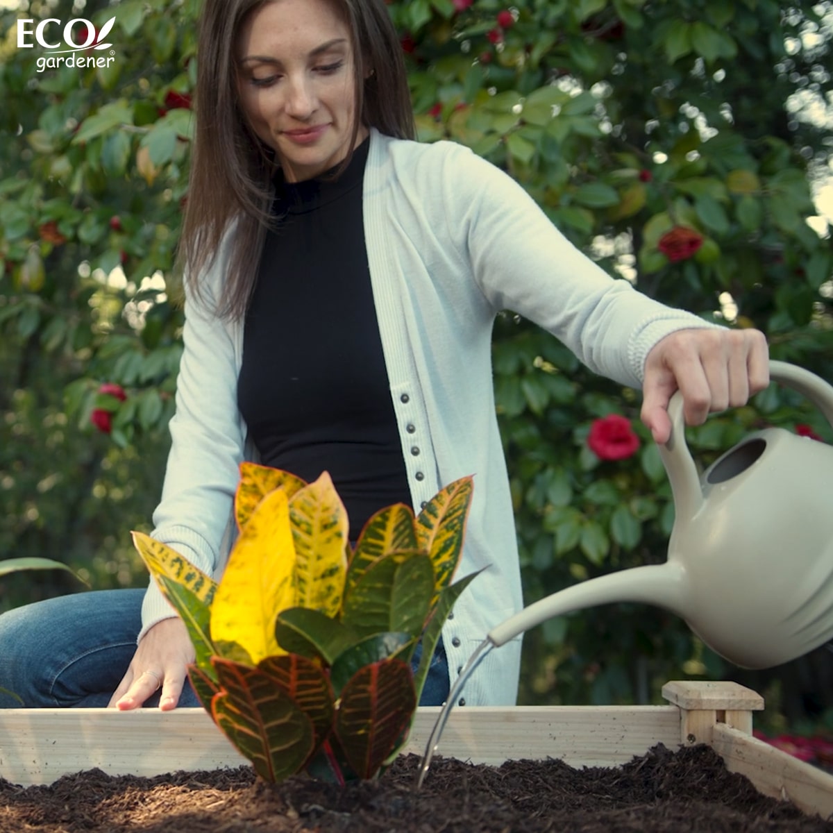 A woman watering her plants in Ecogardener raised bed