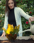 A woman watering her plants in Ecogardener raised bed