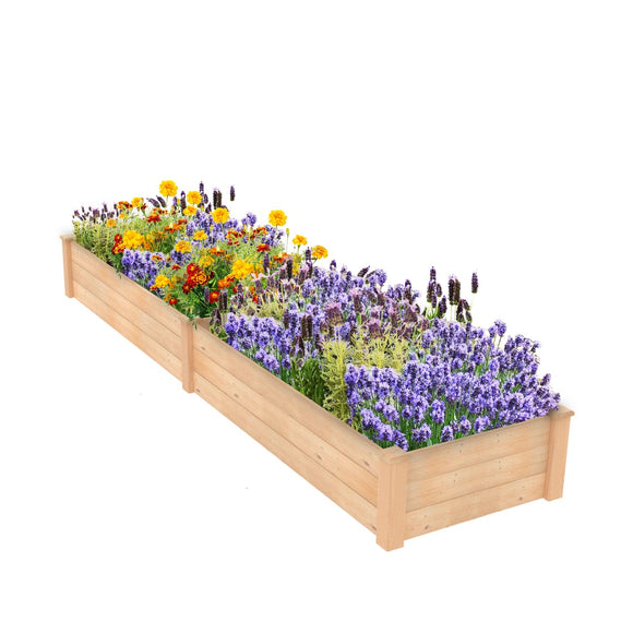 Ecogardener Raised Bed