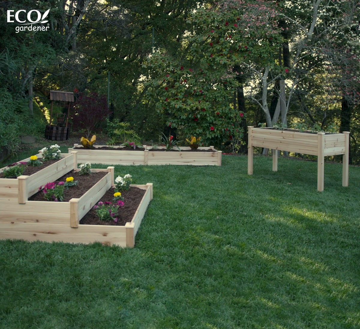 Ecogardener Raised Beds in the garden