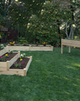 Ecogardener Raised Beds in the garden