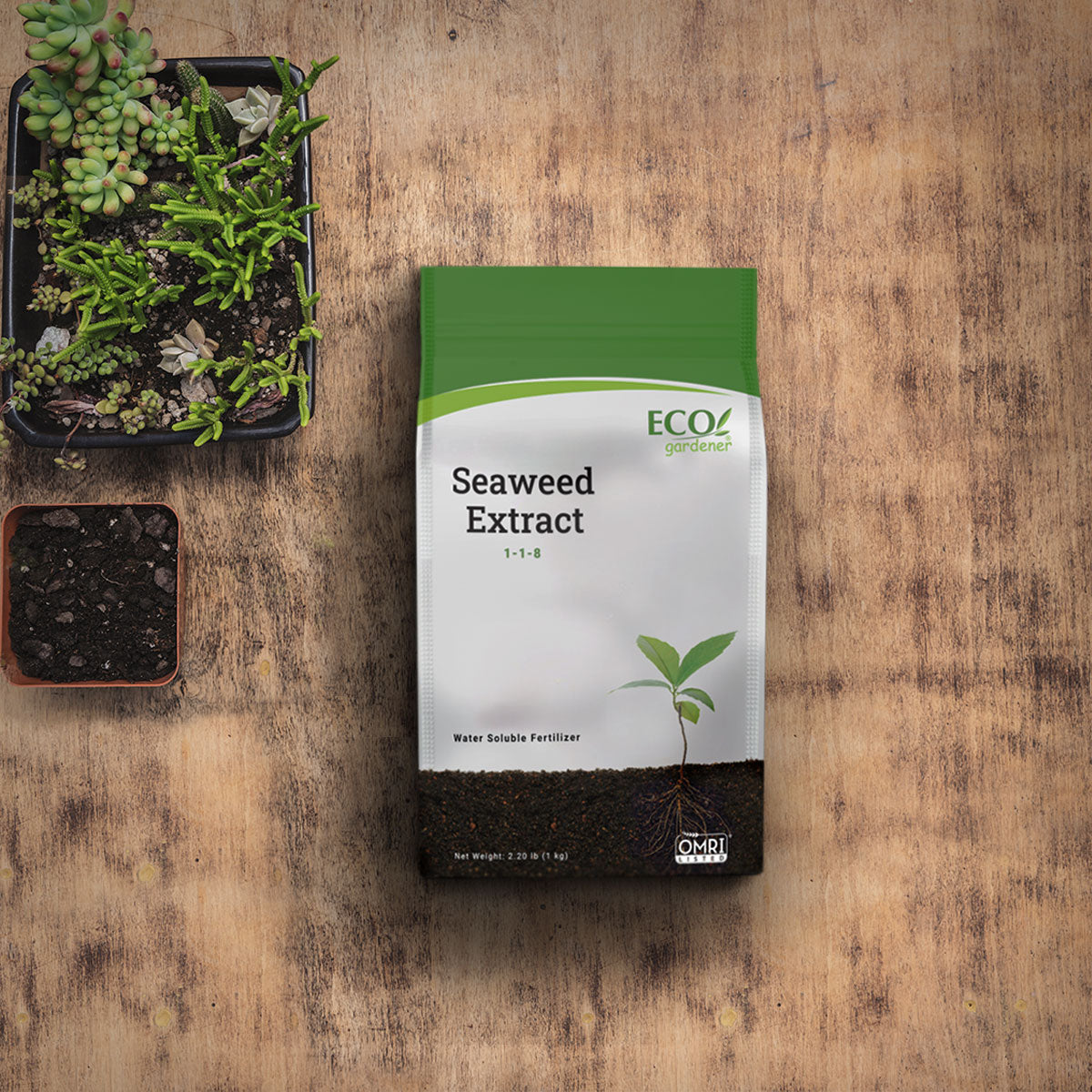 EcoGardener Seaweed Extract in the table with potted flowers