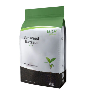 Angled View of EcoGardener Seaweed Extract