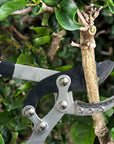 High Branch Telescopic Pruning Shears Tree Pruner Tool